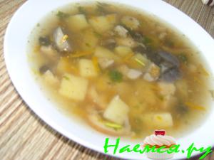 Грибной супчик с лесными грибами