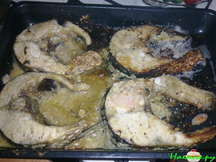 "Пеленгасимус" "Пеленгасимус"