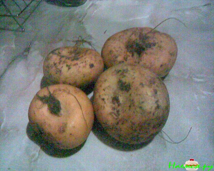 Репа как гарнир