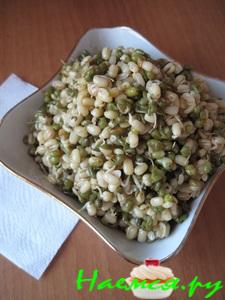 Салат из пророщенного маша