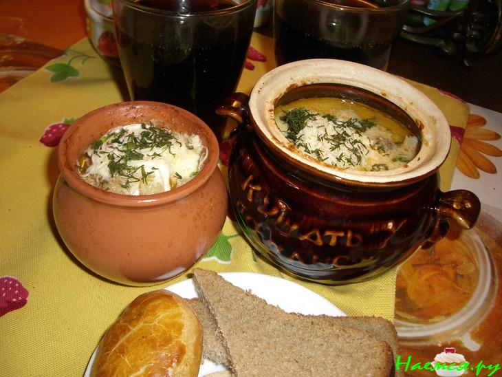 Индейка с грибами в горшочке Индейка с грибами в горшочке