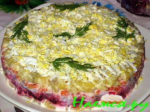 Селедочная шуба желированная