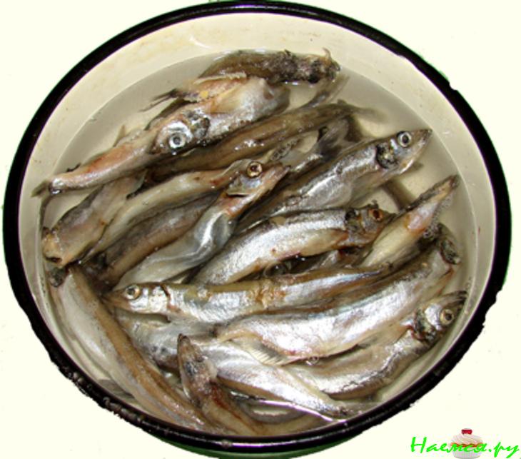 Рыбки хотите?