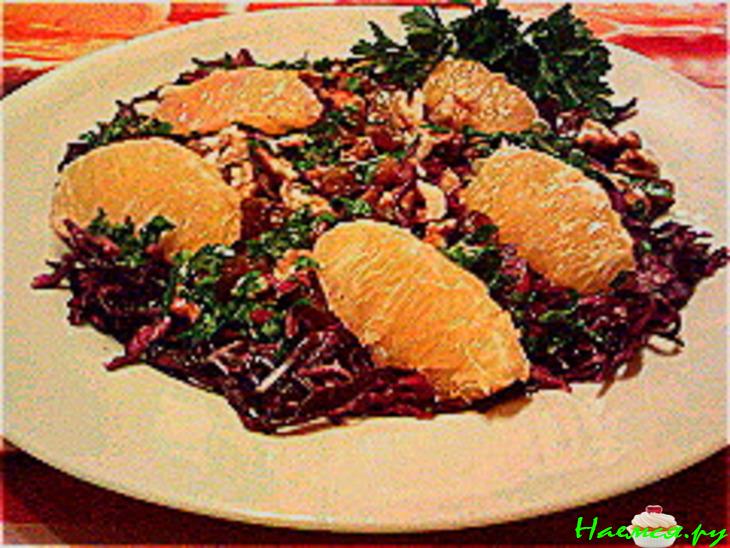 Кардинальская мантия