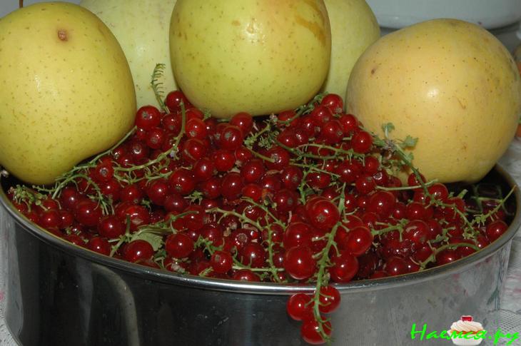 Яблоки с красной смородинкой