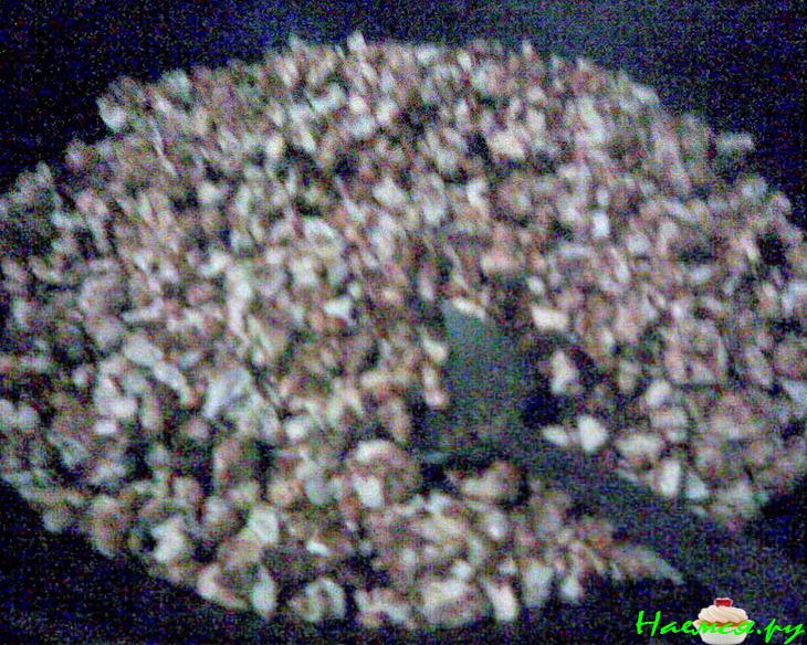 Постный пирог с халвой и орехами Постный пирог с халвой и орехами