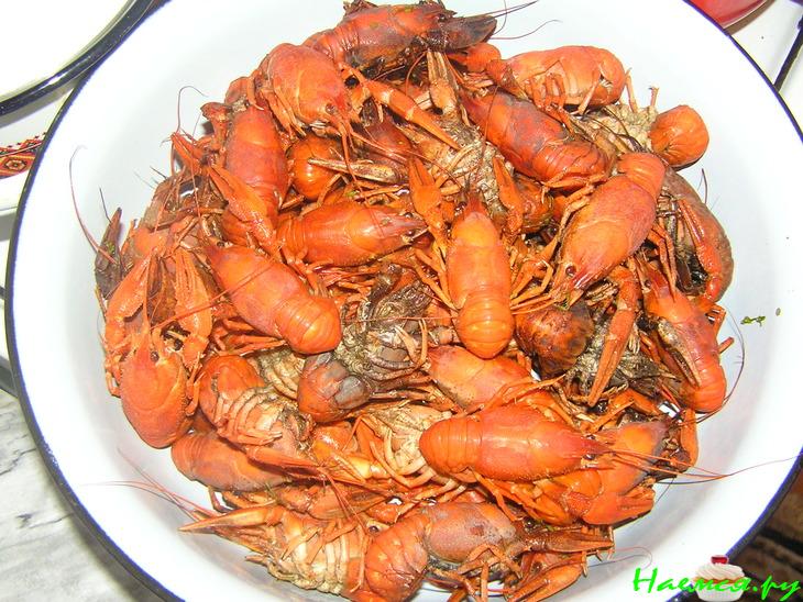 Раки в квасе Раки в квасе