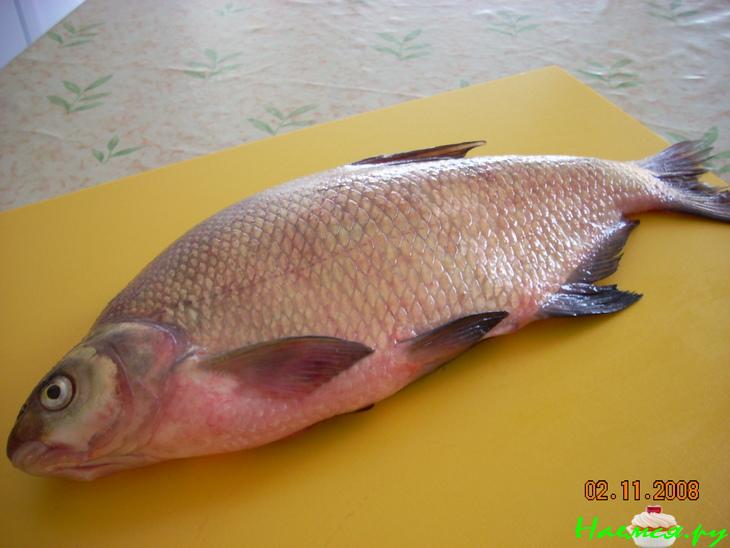 Карп 3 в 1 Карп 3 в 1