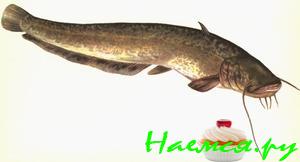 Рыба по-гречески (сом) Рыба по-гречески (сом)