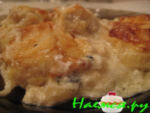 Зубатка-вкуснятка Зубатка-вкуснятка