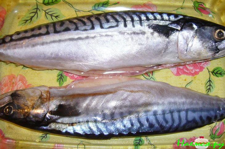 Скумбрия в рукаве на луковой подушке