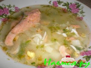 Рыбный суп с фенхелем и яйцом