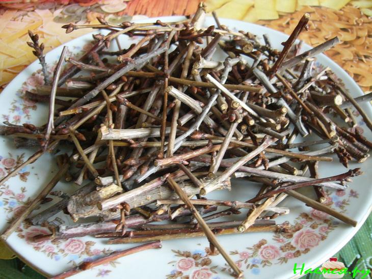 'Палкин чай' или тёмно-красный чай из вишни