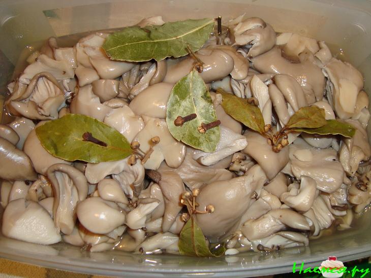 Маринованные вешенки Маринованные вешенки