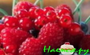 Суп из малины со смородиной