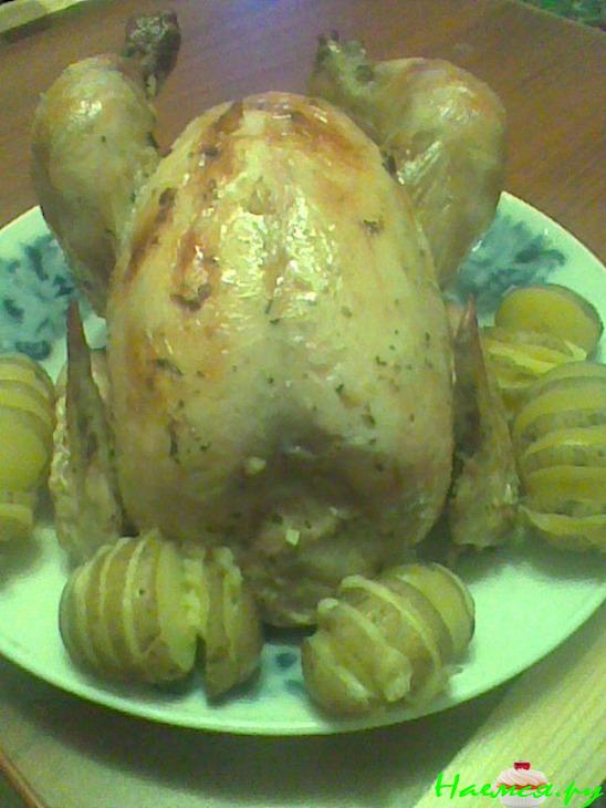 Курочка с лимоном Курочка с лимоном