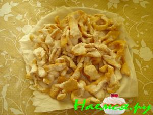 Вариант хвороста