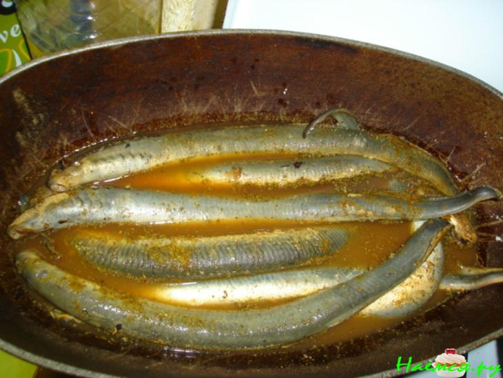 Минога в желе