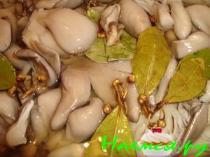 Маринованные вешенки Маринованные вешенки