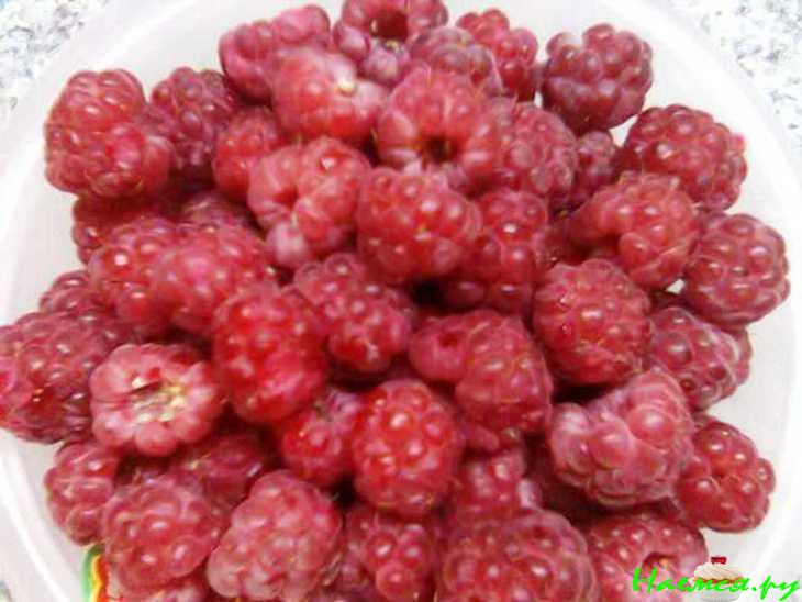 Малина в собственном соку Малина в собственном соку