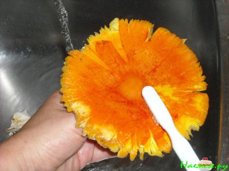 Салат из сырых кесаревых грибов Салат из сырых кесаревых грибов