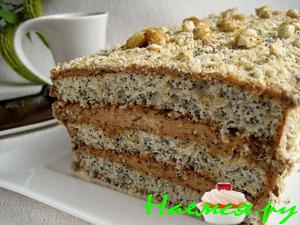 Торт 'Зимнее удовольствие' Торт 'Зимнее удовольствие'