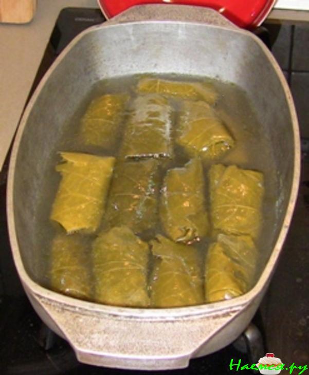 Долма в маринованных виноградных листьях Долма в маринованных виноградных листьях