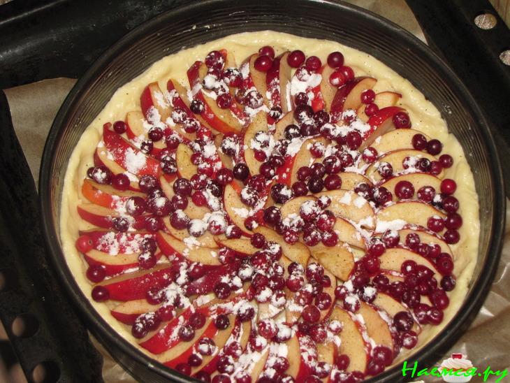 Пирог с яблоками и клюквой