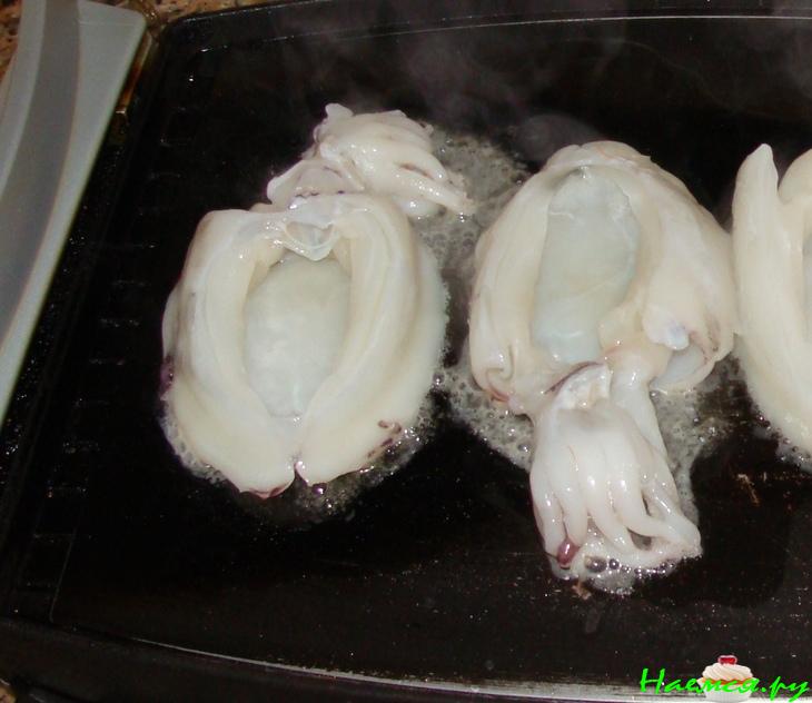 Каракатица