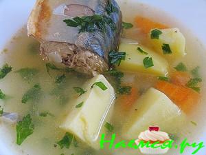 Уха с пшеном Уха с пшеном