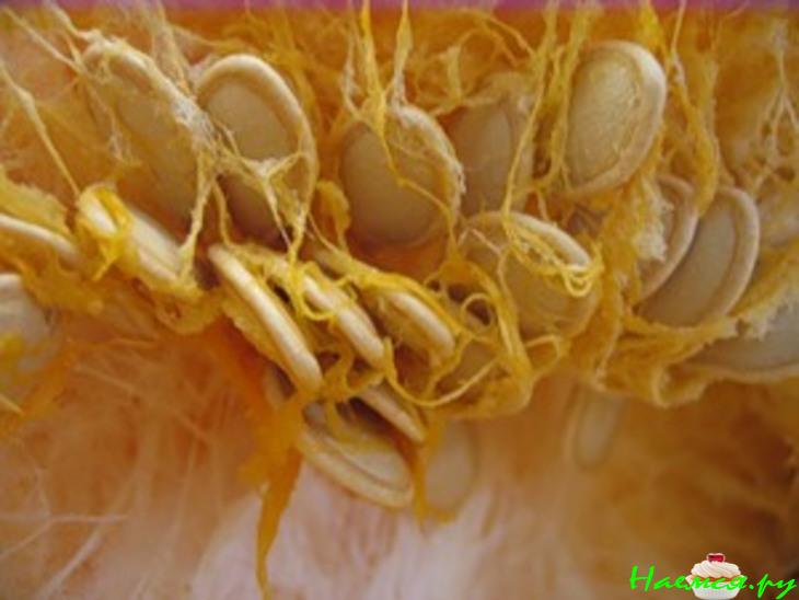 Тыквенные пироги Тыквенные пироги