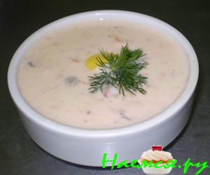Молочный средиземноморский супчик Молочный средиземноморский супчик