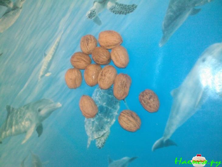 Настойка на перегородках грецкого ореха Настойка на перегородках грецкого ореха