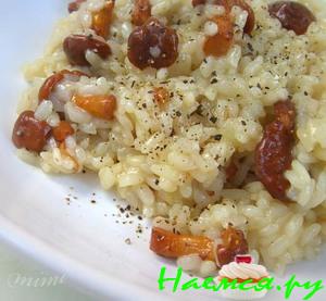 Ризотто с лисичками