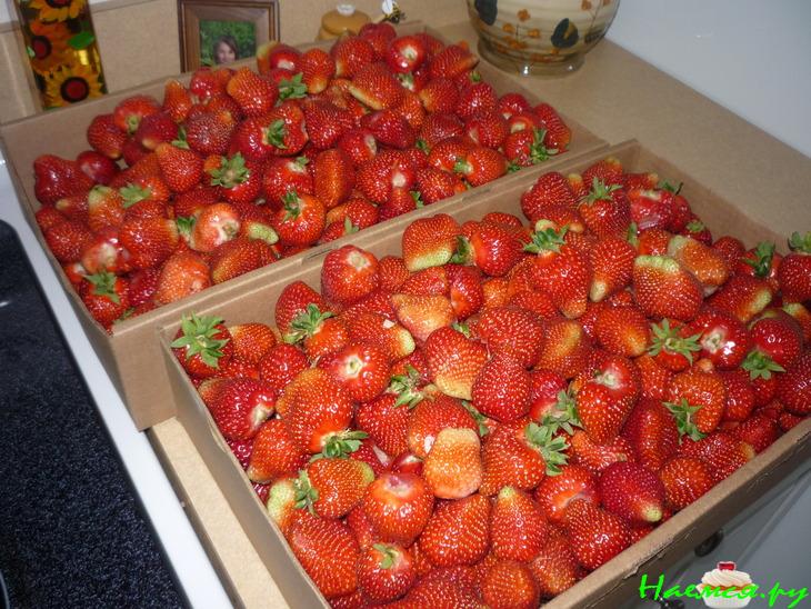 Коктейль "Клубничка"