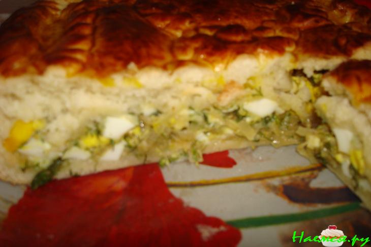 Тесто для несладких пирогов и пироги 