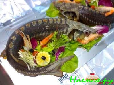 Осетр запеченный в духовке Осетр запеченный в духовке