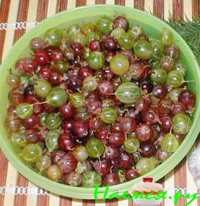 Кетчуп из...крыжовника