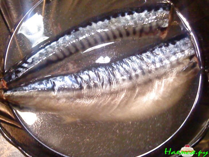 Скумбрия малосольная