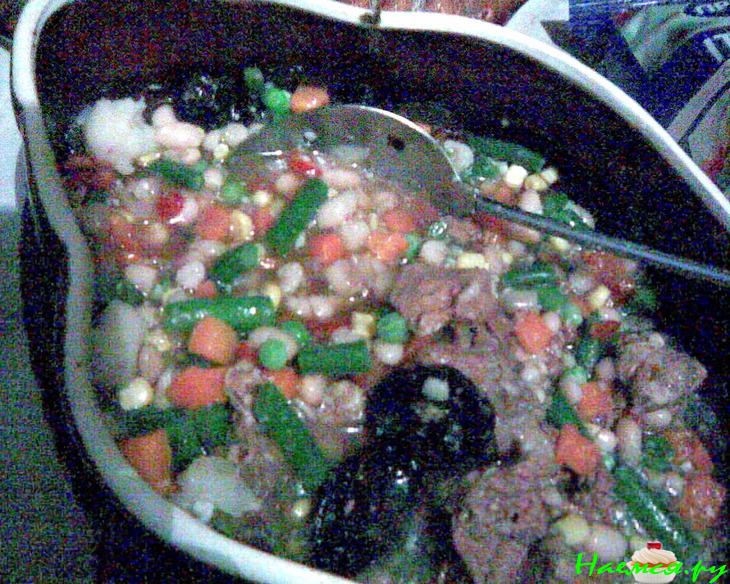 Говяжий суп с фасолью, овощами и черносливом в керамической посуде