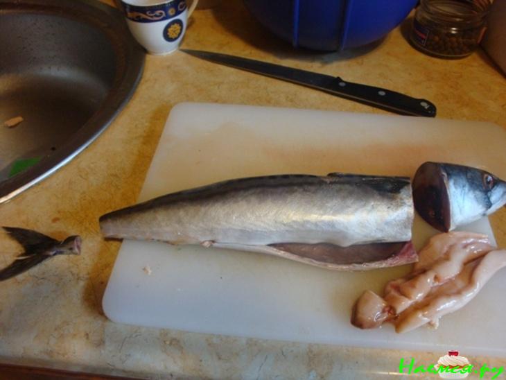 Скумбрия в маринаторе