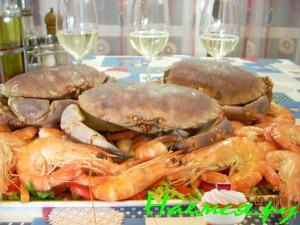 Каталана Каталана