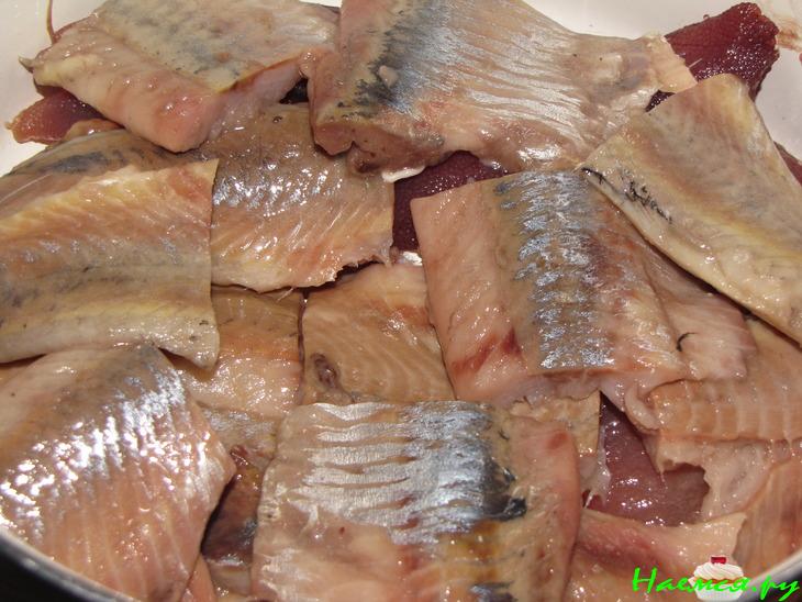 Сельдь "Алтайская" Сельдь "Алтайская"