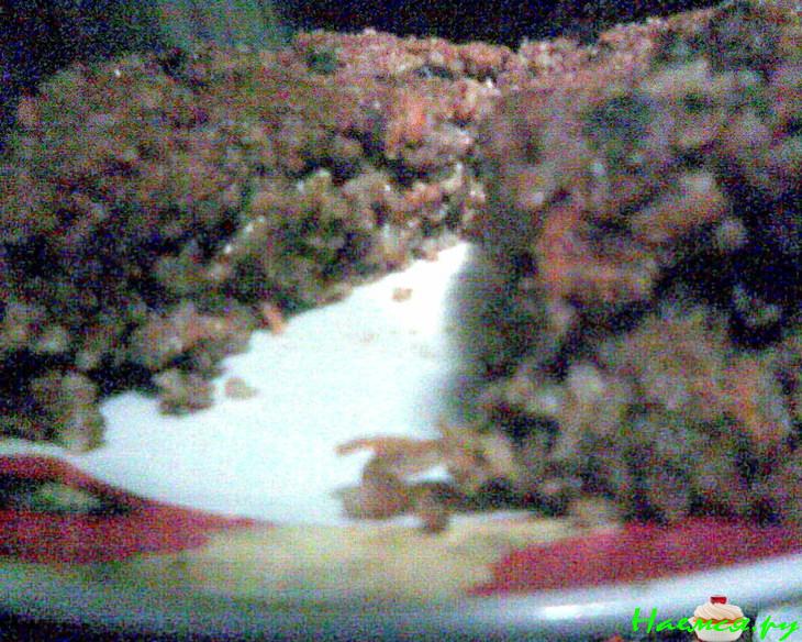 Пикантная рисовая запеканочка с куриной печенью и черносливом