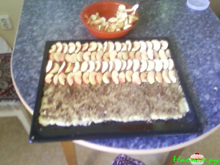 Пирог опаленный пламенем