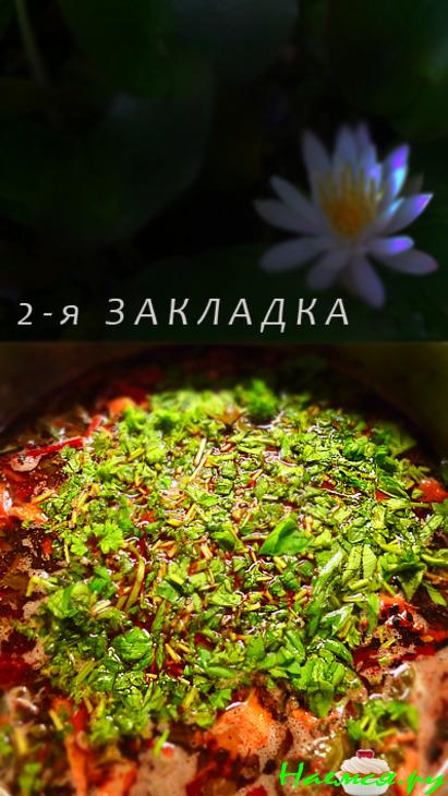 Летние радости 4 : Борщ со шкварками и грибами