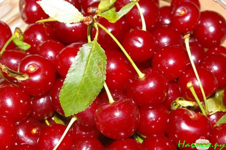 Бланманже "Красное на белом" Бланманже "Красное на белом"