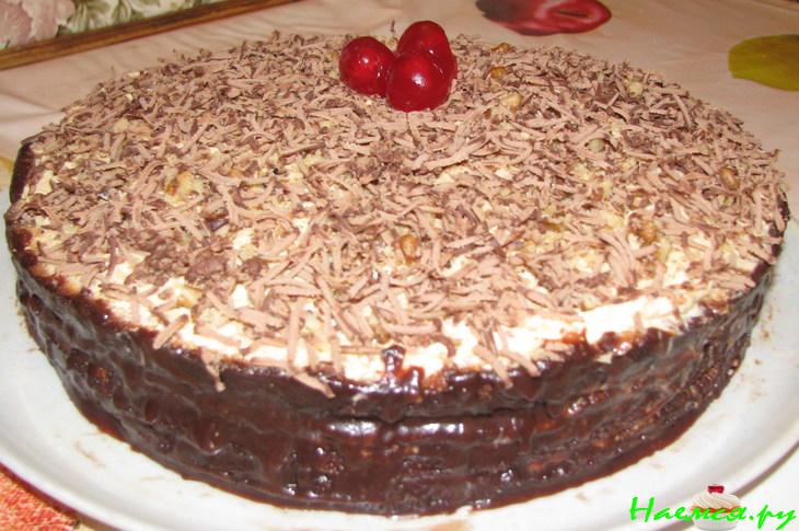 Торт неженка