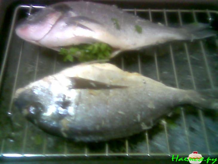 "Пьяная" рыба