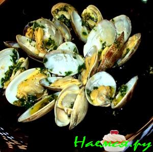 Морские ракушки Морские ракушки